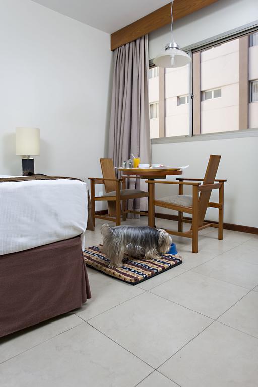 Stream Palace Hotel (Adults Only) Ribeirão Preto Exteriör bild